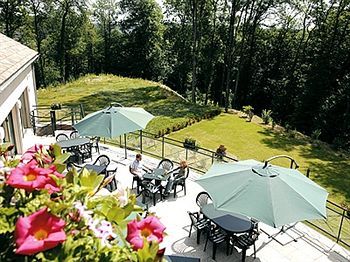 Logis - Restaurant Le Tulipier 3* Vienne-le-Chateau